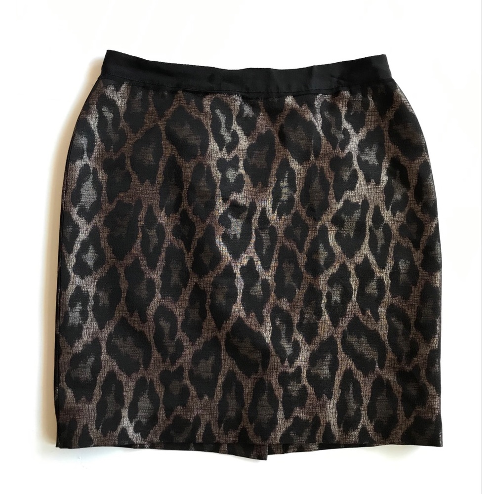 Ann Taylor Women’s Skirt 6P